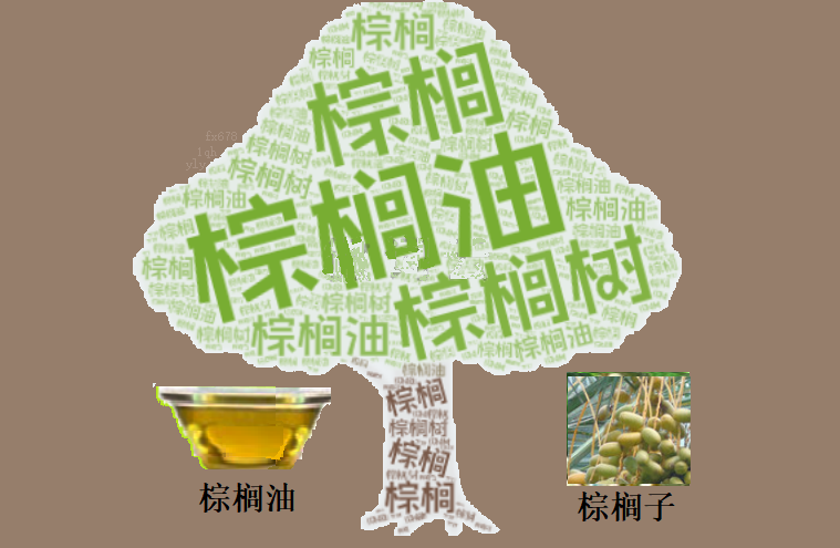 FxPro浦汇开户入口:棕榈油连续四日收涨 短期反弹动能能否延续?